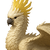 Cockatoo Dragon thumbnail